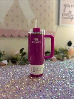 NWT Stanley Winter Collection Quencher H2.0 30oz Tumbler in Punch Shimmer